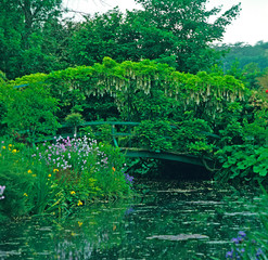 Obrazy  Lilypond z japońskim mostem w ogrodzie Claude& 39 a Moneta