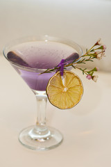 fresh coktail with  dried orange