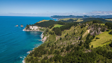 Steep cliffs with trees and ocean aerial view