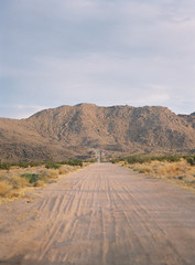 Joshua Tree National Park at Sunset