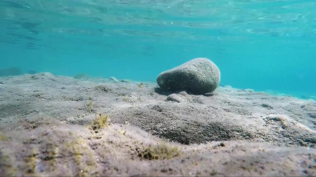 Nurkowanie z kamerą pod wodą w poszukiwaniu ryb na dnie morza Egejskiego u wybrzeży wyspy Kos w Grecji