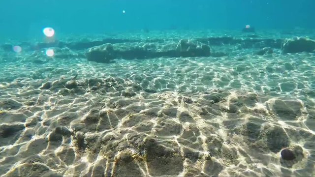 Nurkowanie z kamerą pod wodą w poszukiwaniu ryb na dnie morza Egejskiego u wybrzeży wyspy Kos w Grecji