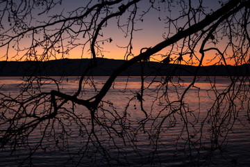 A series of lake landscapes. Tree branches against water background, mountain hills, and sunset-colored sky. Ohrid Lake, Northern Macedonia.