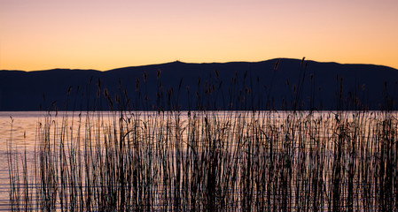 A series of lake landscapes. Reeds in the water against the backdrop of mountain hills and sunset...