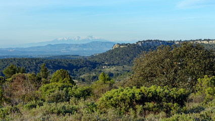 Fototapeta na wymiar La Clape hills panorama in Occitanie region