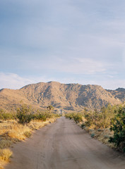 Joshua Tree National Park at Sunset