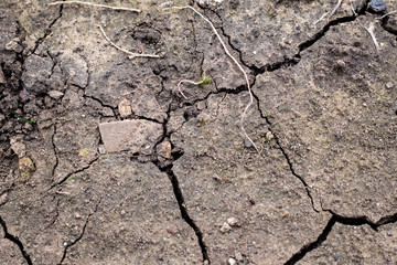 Dryness. Selective focus on dry ground cracked because of pollution and global warming.