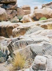 Joshua Tree National Park Desert Landscape