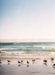 San Luis Obispo Seashore