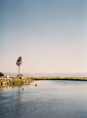 San Luis Obispo Seashore