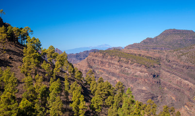 Gran Canaria, January