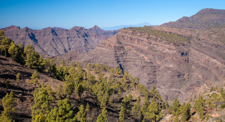 Gran Canaria, January