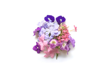 Group of colorful  flowers blooming which are cut from the garden in the morning in Spring isolated on white background.