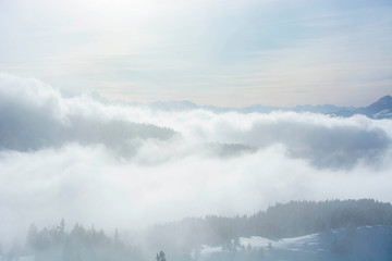 Fototapeta premium foggy mountain layers in winter over the pine forest