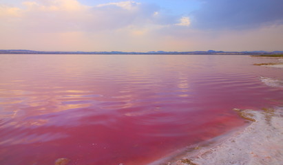 Fototapeta premium Pink Lake from Torrevieja, Spain.