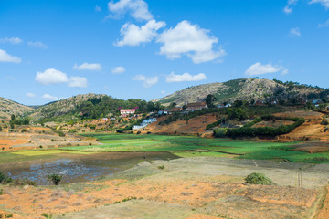 Fototapeta premium Rice paddies in the central highlands of Madagascar - Landscape of Madagascar
