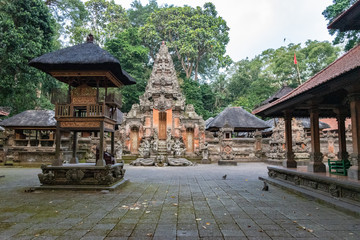 Forêt des singes à Bali en indonesie à côté de ubud ville remplie de temps indien
