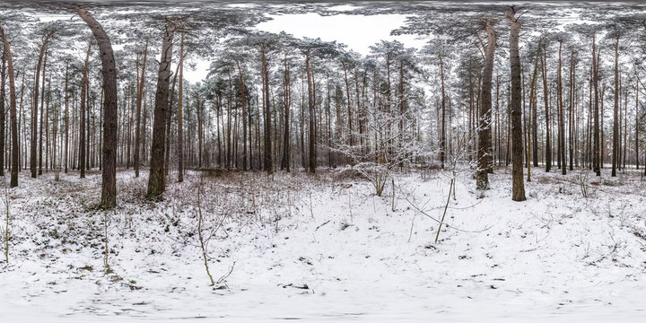 Winter full spherical hdri panorama 360 degrees angle view road in a snowy pinery forest with gray pale sky in equirectangular projection. VR AR content