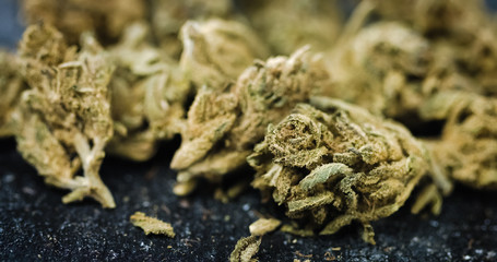 Medical Marijuana Buds on black background. Dried Cannabis Plant closeup