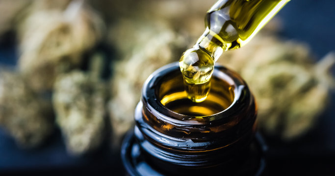CBD Hemp oil, Hand holding droplet of Cannabis oil against Marijuana buds. Alternative Medicine