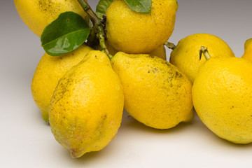 Still life of Lemons and oranges and other vegetables