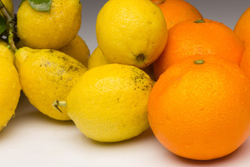 Still life of Lemons and oranges and other vegetables