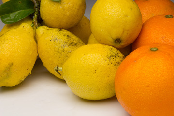 Still life of Lemons and oranges and other vegetables