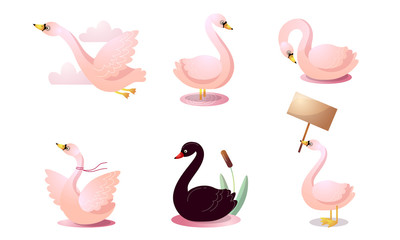 Set of colorful cartoon swans in different poses. Vector illustration in flat cartoon style.