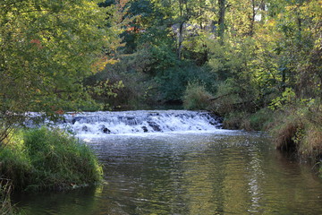 brook creek waterfall forest river