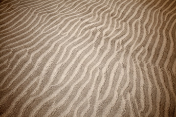 sand and wind pattern on dunes