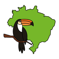 toucan animal exotic with map of brazil vector illustration design