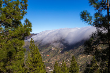 Gran Canaria, January