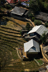 Reisfelder in Sapa in Nordvietnam im Herbst