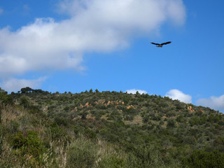 Paesaggio
