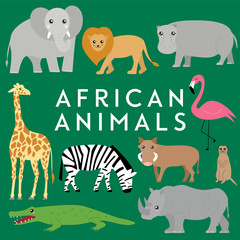 Vector illustration set of African animals, Lion, elephant, rhino, hippo, flamingo, crocodile, meerkat, warthog, zebra