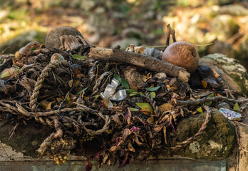 Offerings and gifts at Ulupo Heiau historic hawaiian religious site near Kailua on Oahu, Hawaii