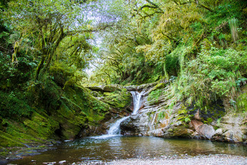 Waterfall and stream in the forest of Los Sosa National Park in Tucumán, Argentina
