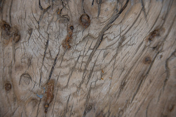 Close up of wooden structures