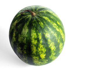 Green striped watermelon isolated on white background. Popular fruit. Selective focus.