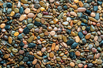 Wet sea pebble texture as background