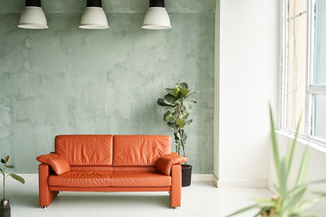 Loft style interior. Orange sofa and Several potted plants are in the living room.