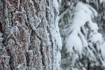 Obraz premium Kachkanar