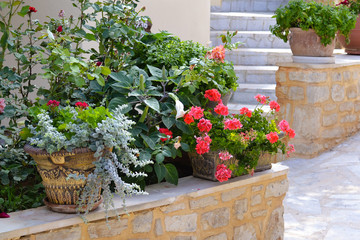 Flowers in pots outdoor in Crete, Greece