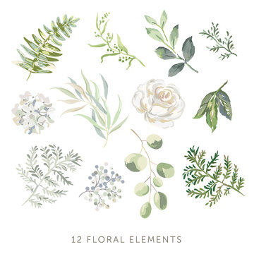 Rose, Hydrangea, Green Leaves, Fern, White Background. Set Of The Floral Greenery Elements. Vector Illustration. Romantic Garden Flowers. Wedding Design Clip Art