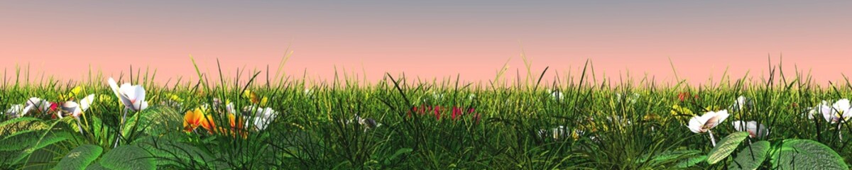 Grass banner with flowers, meadow and sky