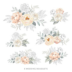 Blush roses, peonies with gray, outline leaves bouquets, white background. Set of the bridal floral arrangements. Vector illustration. Romantic garden flowers. Wedding design clip art
