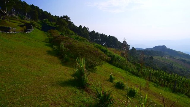 4K video of mountain view at Doi Chang Mub base, Chiang Rai province.