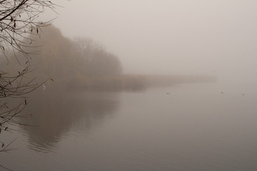 thick fog at a large creek with reed and trees in autumn