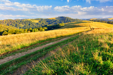 A dirt road passes through the mountain peaks of the Carpathian hills filled with golden light in the morning sun.