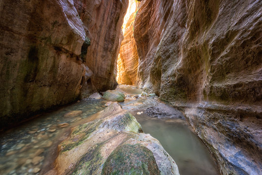 Amazing Avakas gorge, nature landscape, Cyprus. View of the popular canyon, tourist attraction in Paphos district, outdoor travel background